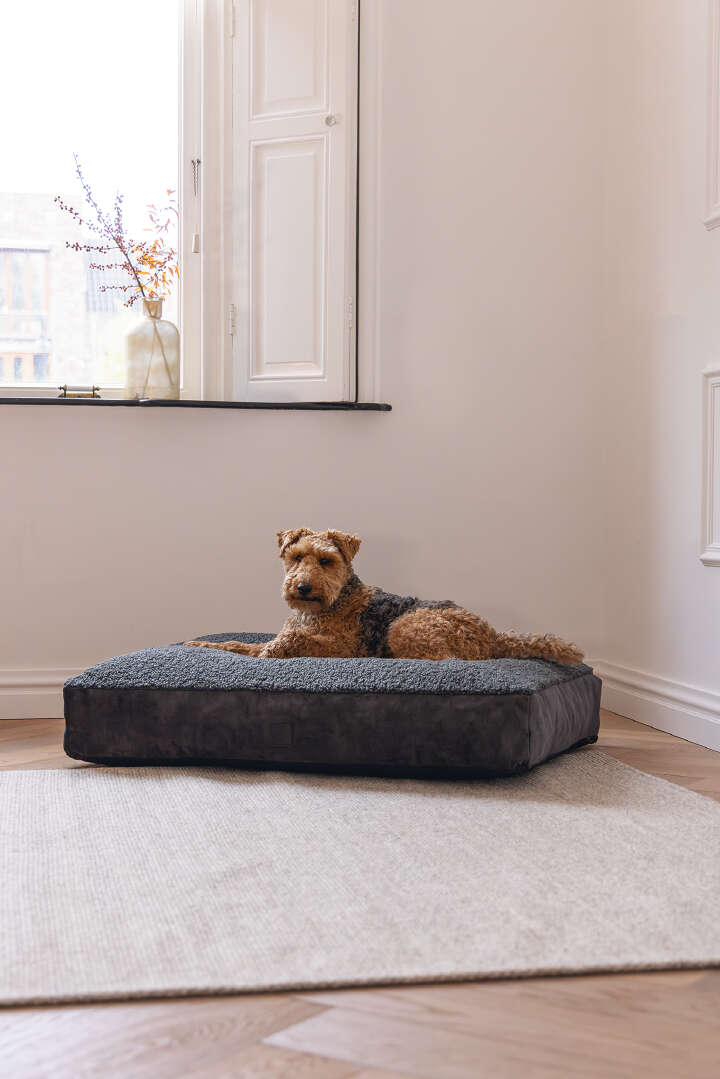 Designed by Lotte Hundekissen Yndis